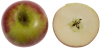 Third Graphic